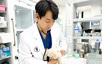 강아지 질병 사망 1위 ‘암’…예방·치료법은? [올어바웃 댕냥이]