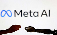 메타 AI 피해 예방 조직 해체…국제적 피해예방 대책과 엇갈린 행보