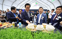 전략직불제로 벼 재배면적 1.3만㏊ 줄여…쌀 생산 7만 톤 감축