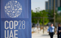UAE, COP28 홈피에 태극기 대신 인공기 올렸다가 삭제