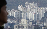 2030 생애 첫 집 마련, 서울 ‘여전’ㆍ지방 ‘시들’…“정책 대출 중단 영향”