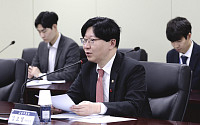 김소영 부위원장 “일부 투자건 손실 사례, 시장 부실 확대 해석...금융권 충분히 대응 가능”