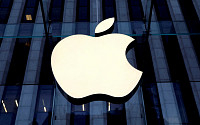 애플, 아이패드 제품군 대대적 개편 추진…“혼란 줄이고 판매량 늘린다”