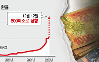 밀레이 아르헨 신임 대통령의 첫 폭탄정책...페소 54% 평가절하