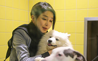 김건희 여사, 네덜란드 동물보호재단 방문…"한국도 동물권 관심 높아"
