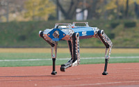 카이스트가 만든 로봇개 ‘하운드’...100m 달리기 세계신기록 세웠다