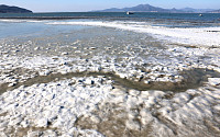 [포토] '한파에 얼어붙은 인천 앞바다'