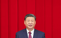 시진핑, 설 메시지서 中 경제 자신감...&quot;취업·물가 안정&quot;