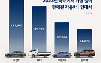 현대차, 지난해 421만6680대 판매…전년比 6.9% 증가