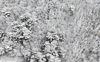 ‘청소년올림픽’ 강원영동에 최대 40cm 눈…다음주부턴 북극 한파
