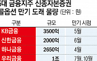 “자본 적정성 높인다”…금융지주, 신종자본증권 줄줄이 발행