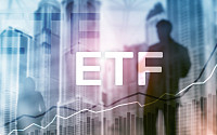 ‘ETF 표절 금지제’ 2월 적용 시작…본격 적용은 ‘아직’