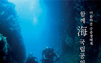 국립공원 수중 생태계 담은 온라인 화보집 발간…해양생물·수중경관 100점 공개