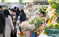 [포토] '우수 앞둔 꽃시장엔 봄기운 가득'