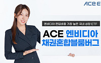 한투운용 "서학개미 원픽 엔비디아, 편입 비중 최대 ACE ETF"