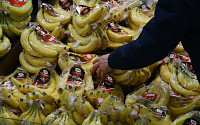 할당관세 오렌지·바나나 마트 판매 시작…이달 중 2000톤 공급