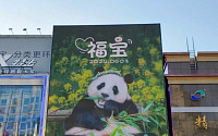 “푸바오 환영해” 중국 청두 춘희로에 걸린 대형 포스터