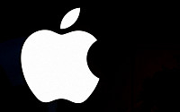 [오늘의 뉴욕증시 무버] 애플, 맥 라인 개편 계획에 4%↑…‘렌트더런웨이’ 162%↑