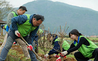 “산불 피해지역 푸르게”…LH, 식목일 맞아 전국 8200그루 나무 심기 행사