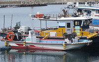 친환경 연료ㆍ새로운 선체재료 어선 개발 규제 완화