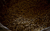 기후변화 앞당기는 커피 한 잔…병아리콩·대추야자 ‘대체 커피’가 뜬다