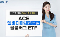 엔비디아 눌러 담은 ‘ACE 엔비디아채권혼합 ETF’ 수익률 26.5%↑