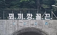 부산 대연터널 '꾀끼깡꼴끈' 괴문자에 운전자들 &quot;'사고 유발' 할라&quot; 우려