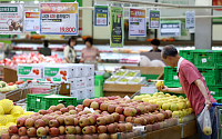 지난달 소비자물가 2.7% 상승 '과일값 고공행진' [포토]