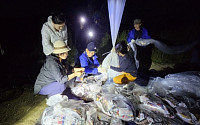 탈북민 단체 “전날 밤 강화도서 대북 전단 20만 장 살포”