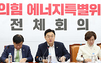 22대 국회 '반쪽' 개원…與 특위 가동해 민생경제 현안 대응