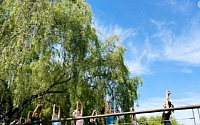 “여름 낭만 가득”…선유도공원서 요가ㆍ클래식공연 행사 열린다