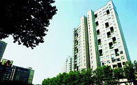 [강남 부동산시장 대해부]새 아파트 희소가치 ‘高高’…분양시장은 ‘전쟁중