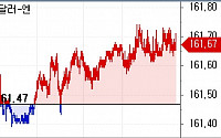 엔화 170엔 치닫자 일학개미 “이제라도 팔자” vs “아직 더 물 탈래” 설왕설래