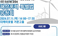 한국풍력산업협회, 해상풍력 특별법 대공청회 개최