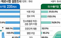 [유럽 CBAM 中企 풍전등화②] 中企기업 &quot;출구 없는 터널…R&amp;D하란 말과 같아&quot;