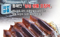 롯데슈퍼, 동해 생물 오징어 올 첫 판매
