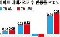 서울 아파트값 상승 폭, 305주 만에 최고 수준…전세 강세도 '여전'