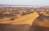 [고승희의 중국여행]422개의 오아시스를 간직한 ‘텅그니 사막’