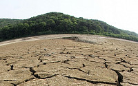 [포토]20년만의 가뭄, '갈라진 저수지 바닥'