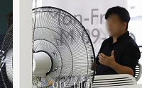 폭염에 전남서 11명 탈진·실신…가축· 어류 폐사 피해 속출