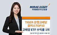 'TIGER 은행고배당플러스TOP10', 연초 이후 고배당 ETF 수익률 1위