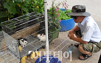 [포토] 병아리ㆍ토끼 삼매경에 빠진 시민