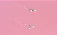딸기우유 색깔 호수 화제, 물에 들어가면 '둥둥'