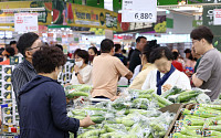 폭염 속 채소가격 상승…오이 37%·청양고추 56% 올라 [포토]