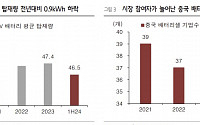 “7월 업황 회복한 중국 배터리…‘기술적 캐즘’ 겪는 중”[차이나 마켓뷰]