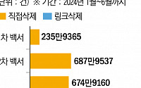 카카오엔터, 상반기 불법 웹툰·웹소설 2억7000만 건 삭제