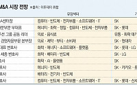 전문가 M&amp;A 시장 전망 “삼성ㆍSKㆍLGㆍ롯데 등 구조조정ㆍ투자 확대할 것” [피벗과 M&amp;A]②