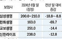 美 기준금리 경착륙? 보험사 자본건전성 '비상'