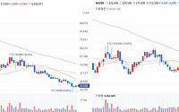 네카오, 엇갈린 개미의 선택...저가매수 vs 국민 밉상주