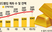 치솟는 금값에 투자자 '관심'…돈 몰리는 골드뱅킹